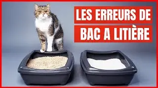 Vous installez MAL le bac à litière ! Les plus grosses erreurs !