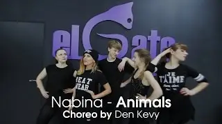 Nabina - Animals I Dance Choreo by Den Kevy 