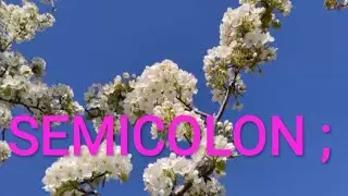 SEMI COLON ;