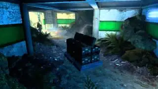 Ninja 1-0 Noob