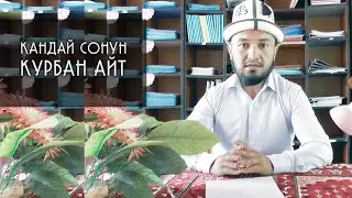 КУРБАН АЙТ МАЙРАМЫ ТУУРАЛУУ. УМАР ДАМЛА