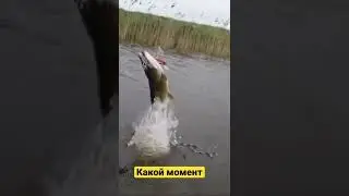 Какой момент