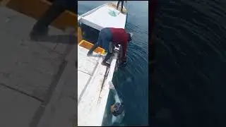 Sebanyak ini hasil memanah ikan 😱