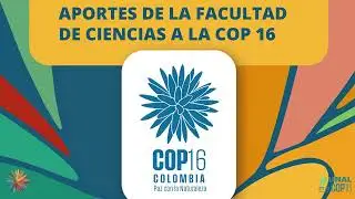 COP16 -2024