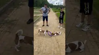 Честер и Оди / ч.2