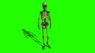 skeleton walking in green screen effect