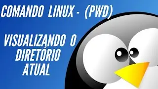Comando básico Linux - PWD