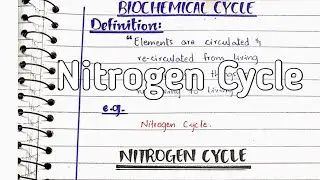 Nitrogen cycle | Nitrogen fixation