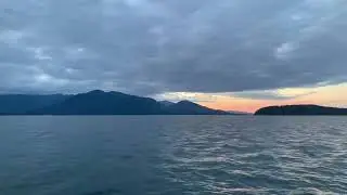 Whale watching with Angie