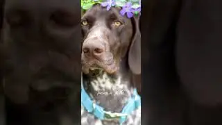 Эдит Курцхаар (Заказ)💗💗💗