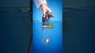The Truth Behind The VIRAL Drowning Rat…🤯🧠