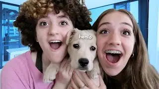 NEW PUPPY SURPRISE! Julia Got Her Own Puppy!!