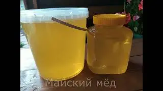 Наша пасека. Времена года.