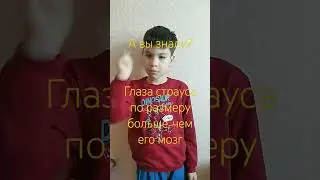 А Вы знали?#интересныефакты