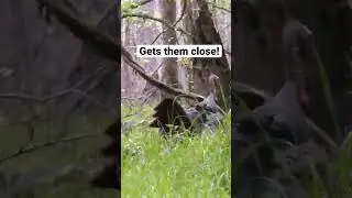 💨Smoked! Turkey Hunting Decoy Motion System #turkeyhunting #hunting #shorts