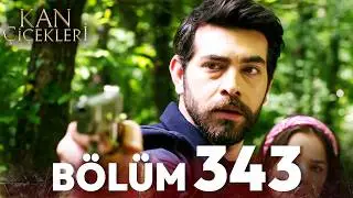 Kan Çiçekleri 343. Bölüm