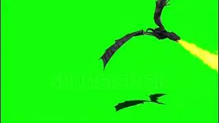 Fire Breathing Dragon Flying green screen video