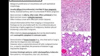 Pleural and Peritoneal Tumors: Kurt’s Notes #pathagonia