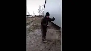Коту под хвост