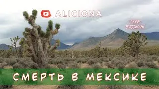 Смерть в Мексике - Гарри Гаррисон | АУДИОКНИГА