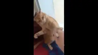 Рука атакуэ