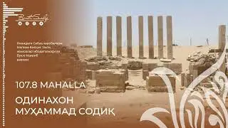 Сулаймон алайҳиссалом Малика Билқиснинг ҳадясини нима учун қабул қилмади? | Одинахон Муҳаммад Содиқ