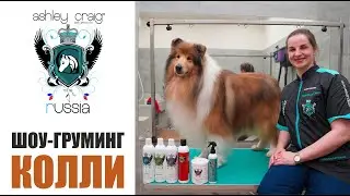 ШОУ-ГРУМИНГ КОЛЛИ ДЛИННОШЕРСТНОГО / 