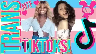 🏳️‍⚧️ Trans TikToks! 🏳️‍⚧️ MTF Edition | 