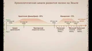 Этапы жизни на Земле