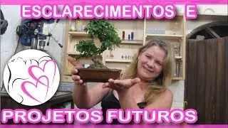 Esclarecimentos e Futuros Projetos