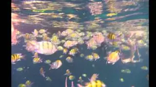 Underwater Thailand