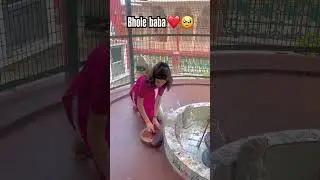 Bam bam bhole #shivay #bholenath #ytshorts #haryanvicalture #danceharyanvi