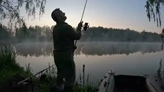 Trawling for Carps: Successes and Failures Part 2