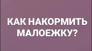 Если ребёнок ничего не ест? Психология пищевого поведения