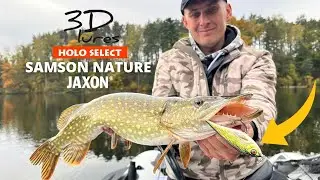 Najlepsze jerki na szczupaki - Holo Select 3D SAMSON NATURE