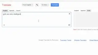 Sentence Translation