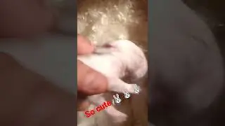 l am cute bunny 🐰🐇