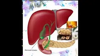 ЖИГАР ВА УТ КОПИНИ ДАВОЛАШ. 100%💥