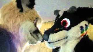 Boop