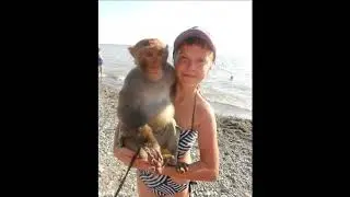 На День Рождения Софии !