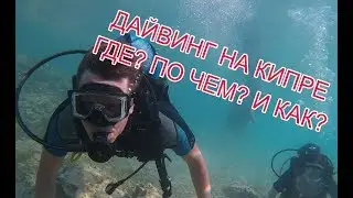 ДАЙВИНГ НА КИПРЕ: ГДЕ, КАК И ПОЧЕМ?