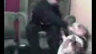 Dog rapes my brother, its very determind