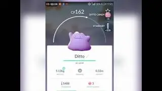 Ditto z magikarpa😎!