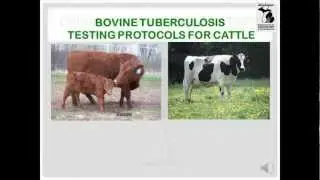 Bovine TB Testing Protocols for Cattle - MDARD