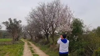 Izmir Ciceklikoy'deyiz