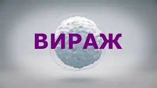 Команда "Вираж"