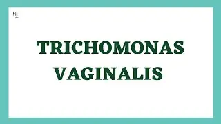 Trichomonas Vaginalis | Trichomoniasis (life cycle, pathogenesis, lab diagnosis & treatment) | STD