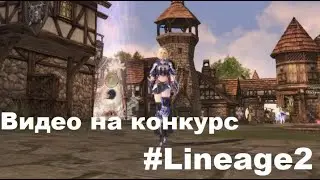 Конкурс Эльмораденс