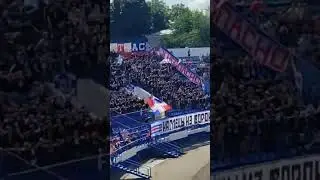фанаты факела, Факел - Динамо. 