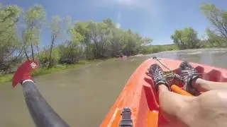 Kayak Birding Trip